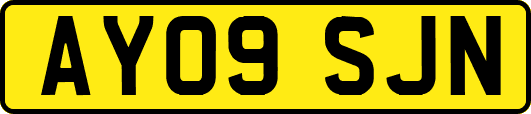 AY09SJN