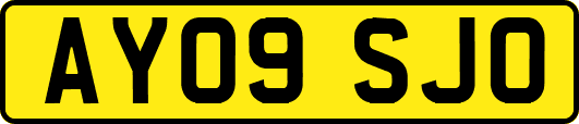 AY09SJO