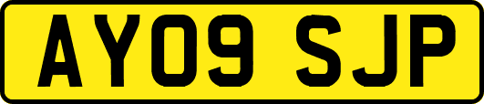 AY09SJP