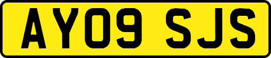 AY09SJS
