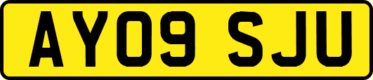 AY09SJU