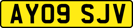 AY09SJV