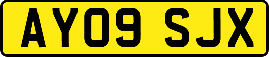AY09SJX