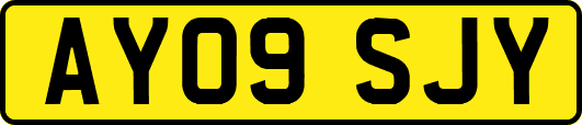 AY09SJY