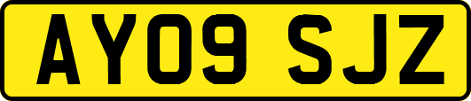 AY09SJZ