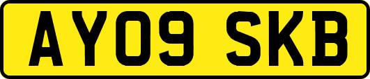AY09SKB