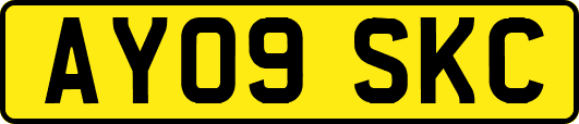 AY09SKC