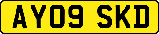 AY09SKD