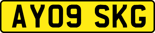 AY09SKG