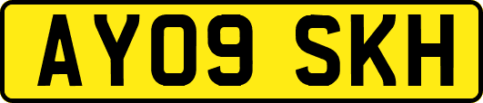 AY09SKH
