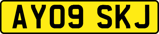 AY09SKJ