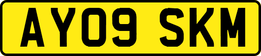 AY09SKM
