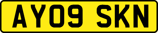 AY09SKN