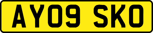 AY09SKO