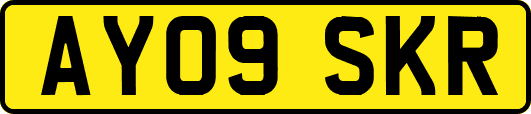 AY09SKR
