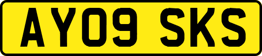 AY09SKS