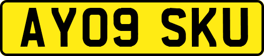 AY09SKU