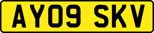 AY09SKV