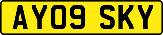 AY09SKY