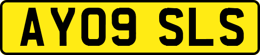 AY09SLS