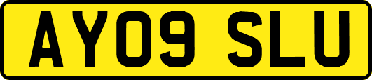 AY09SLU