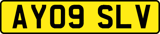AY09SLV