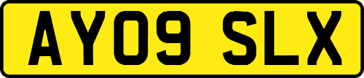 AY09SLX
