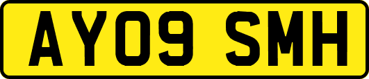 AY09SMH