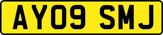AY09SMJ