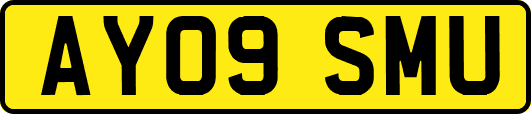 AY09SMU