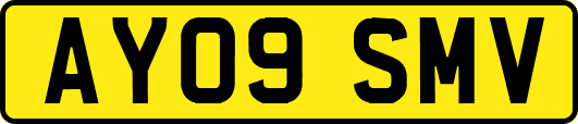 AY09SMV