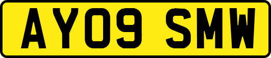 AY09SMW