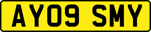 AY09SMY