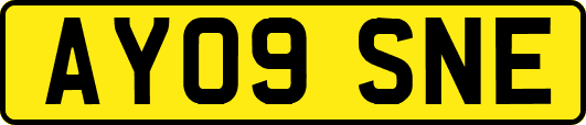 AY09SNE