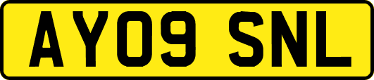 AY09SNL