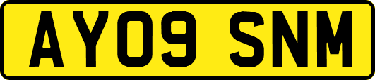 AY09SNM