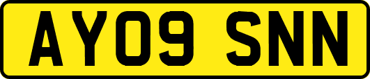 AY09SNN