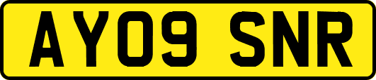 AY09SNR