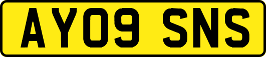 AY09SNS