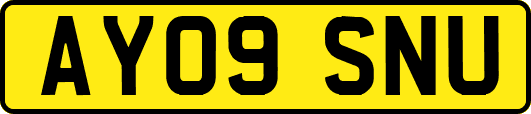 AY09SNU
