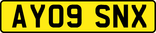 AY09SNX