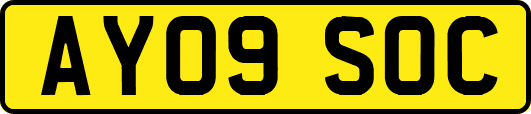 AY09SOC
