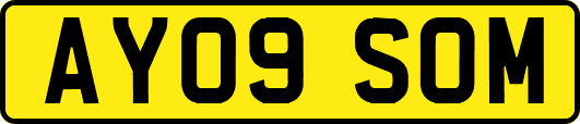 AY09SOM