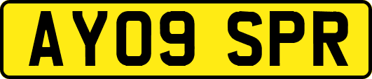AY09SPR