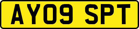 AY09SPT