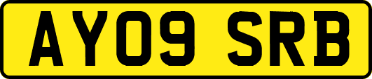 AY09SRB
