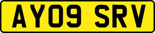 AY09SRV