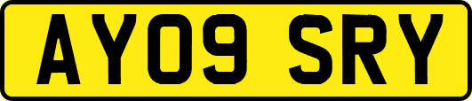 AY09SRY