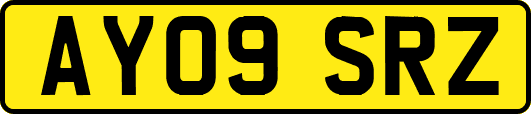AY09SRZ