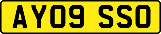 AY09SSO